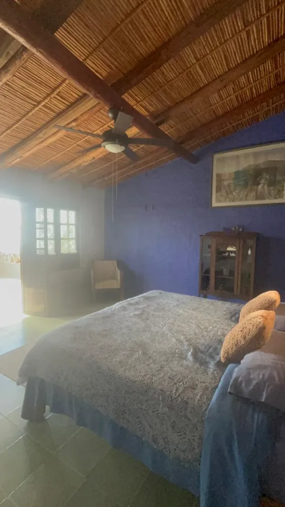 WhatsApp Image 2026-03-14 at 4.23.04 PM.webp