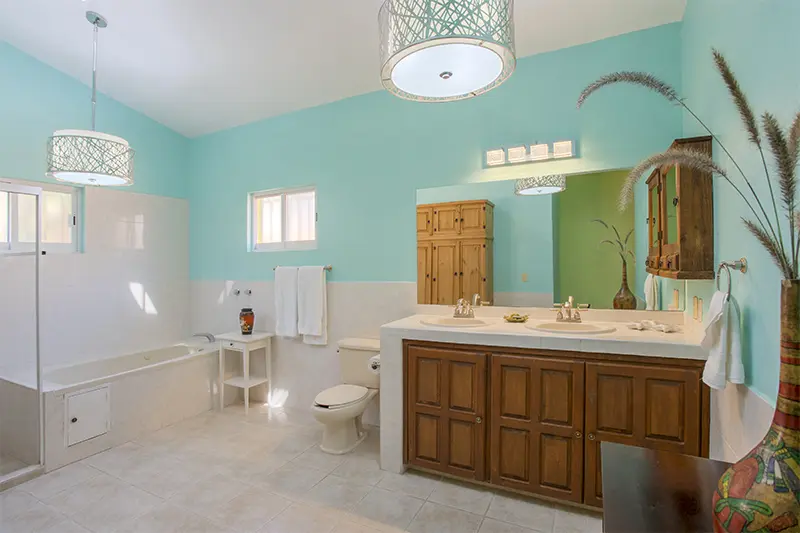 CKISKADEE BATHR MASTER.webp